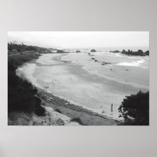 Seal Rock -Duotone Poster
