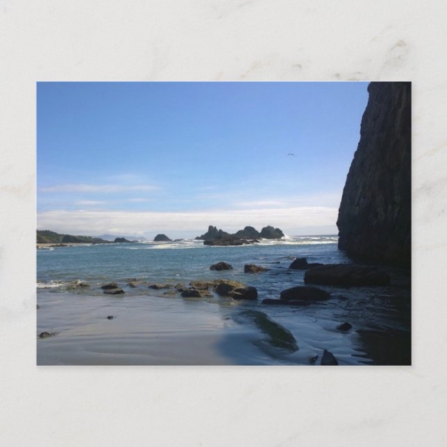 Seal Rock State Park, OR Postcard (Front)