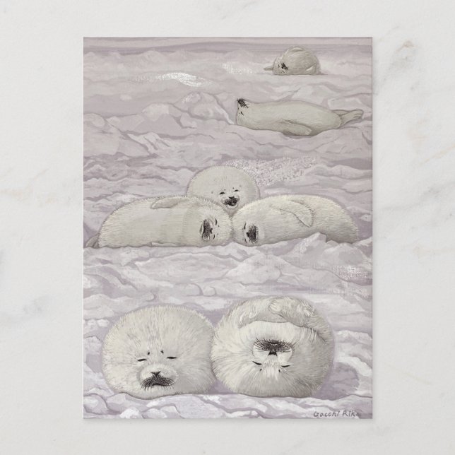 Seal Season Winter Postcard (Front)