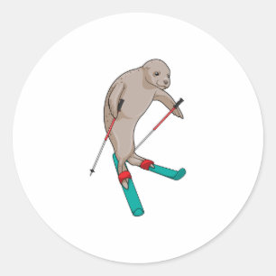 Seal Skier Ski