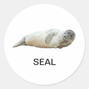 Seal Sticker 03