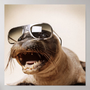 seal style poster