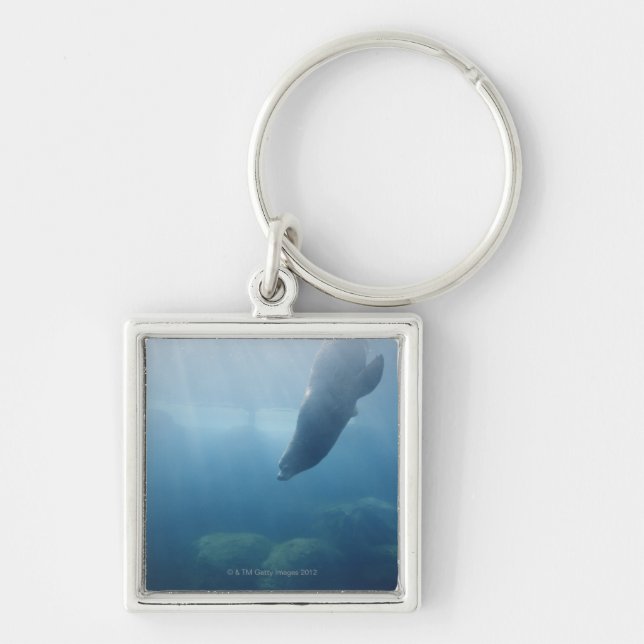 Seal swimming under the water key ring (Front)