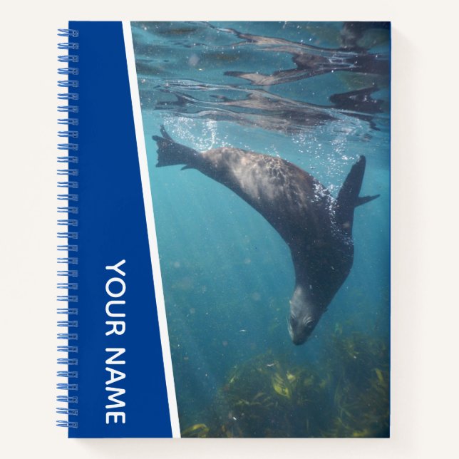 Seal Swimming Underwater, Australia, Blue Notebook (Front)