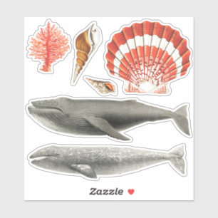 SEALIFE AQUATIC STICKER COLLECTION WITH WHALES