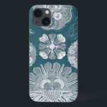 Sealife Blueprint IV iPhone 13 Case<br><div class="desc">Marine Life</div>