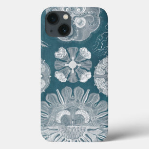 Sealife Blueprint IV iPhone 13 Case