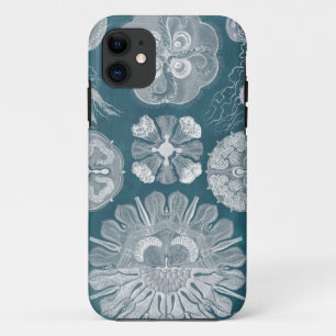 Sealife Blueprint IV iPhone 11 Case