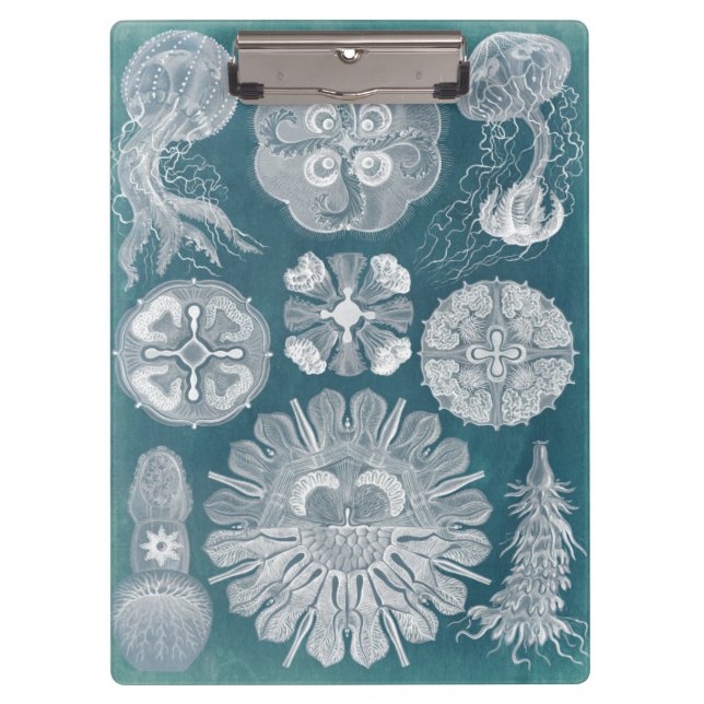 Sealife Blueprint IV Clipboard (Front)