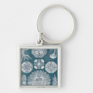Sealife Blueprint IV Key Ring
