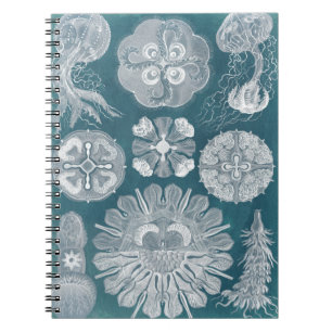 Sealife Blueprint IV Notebook
