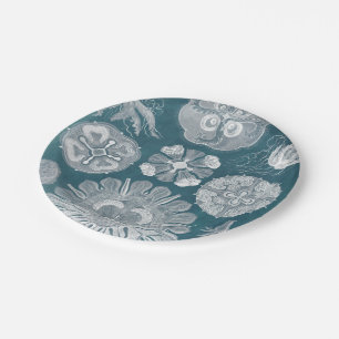 Sealife Blueprint IV Paper Plate
