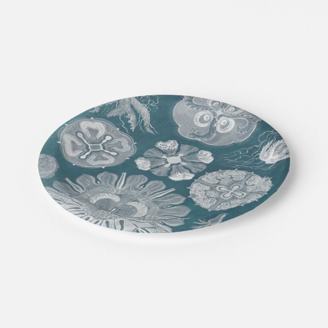 Sealife Blueprint IV Paper Plate (Angled)