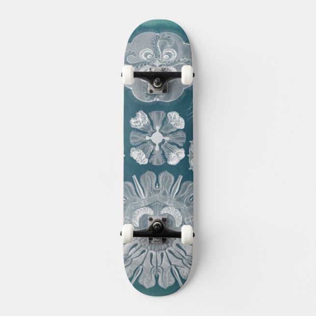 Sealife Blueprint IV Skateboard (Front)