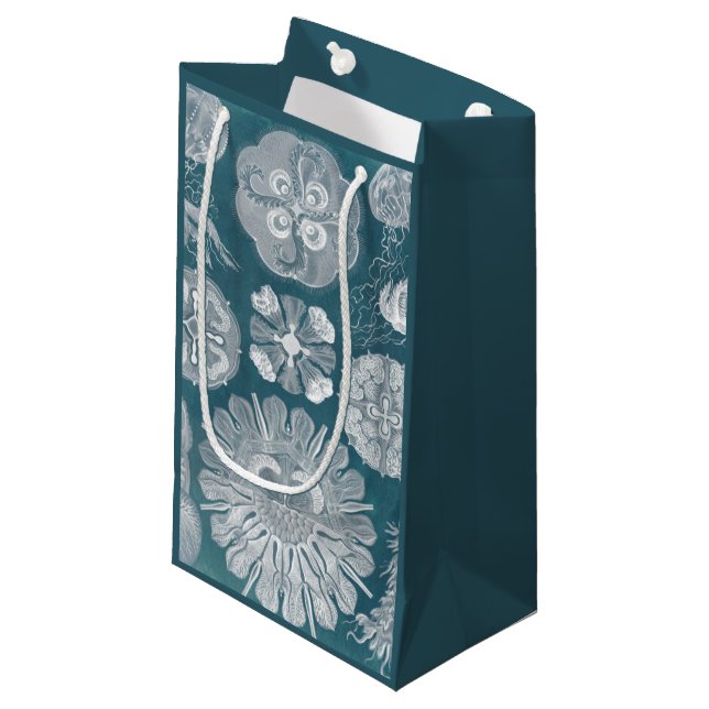 Sealife Blueprint IV Small Gift Bag (Front Angled)