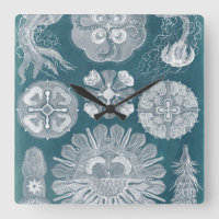 Sealife Blueprint IV