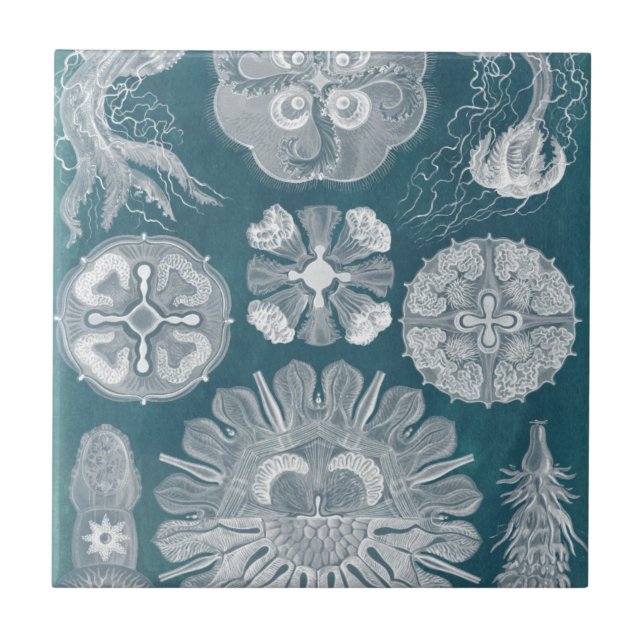 Sealife Blueprint IV Tile (Front)