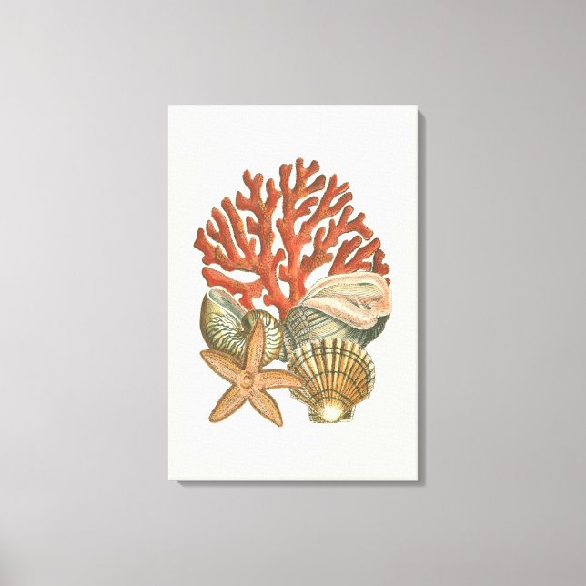 Sealife Collection Canvas Print (Front)