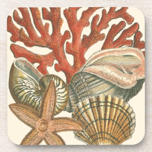 Sealife Collection Coaster (Front)