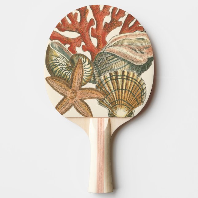 Sealife Collection Ping Pong Paddle (Front)