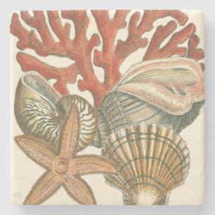 Sealife Collection Stone Coaster