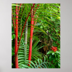 Sealing Wax Palms Poster