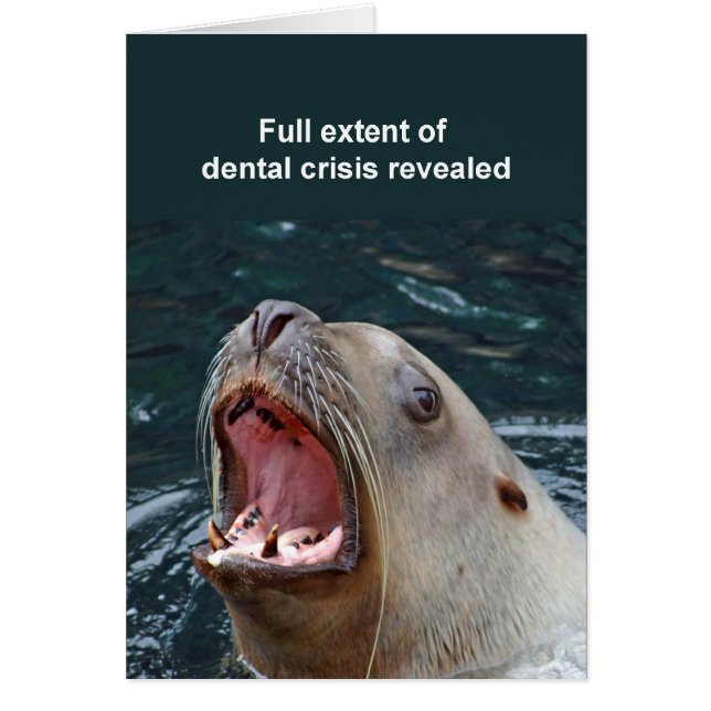 Sealion card (Front)