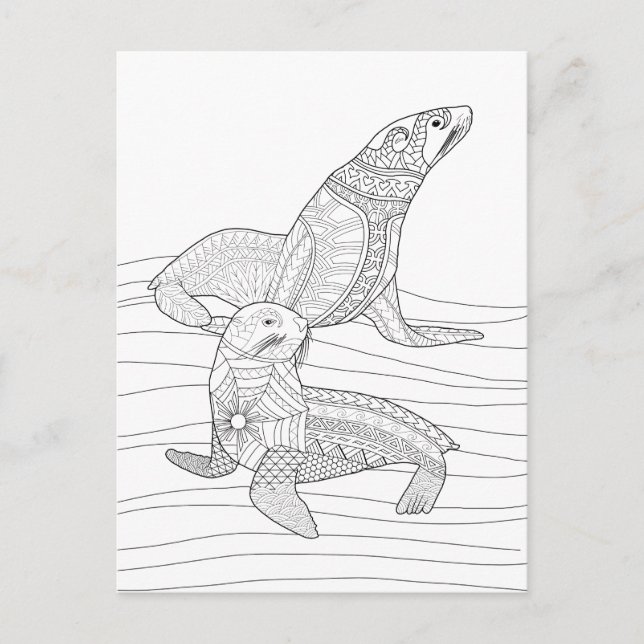 Seals Adult Colouring Postcard (Front)