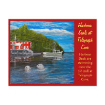 Seals at Telegraph Cove, BC Canada.