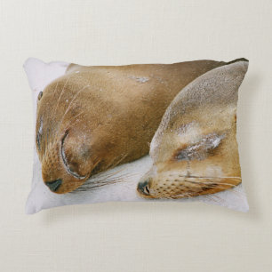 SEALS ENJOYING THE SUNSHINE AND EACH OTHER ON THE DECORATIVE CUSHION
