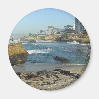 Seals On Sand In La Jolla Cove Magnet