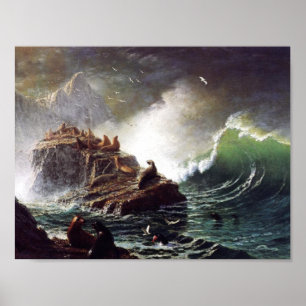 Seals on the Rocks by Albert Biestadt Poster