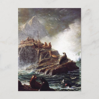 Seals on the Rocks, Farallon Islands - Bierstadt Postcard