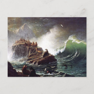 Seals on the Rocks, Farallon Islands - Bierstadt Postcard