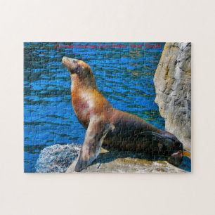 Seals Robben Island Florida. Christmas Greetings Jigsaw Puzzle