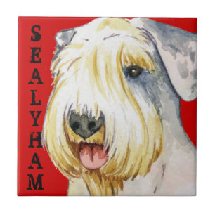 Sealyham Terrier Colour Block Tile