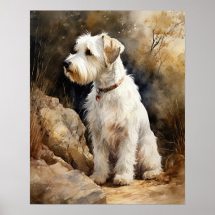 Sealyham Terrier Dog Art Print Poster