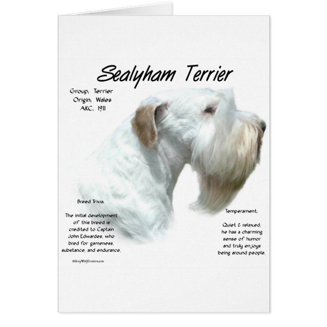 Sealyham Terrier History (Front)