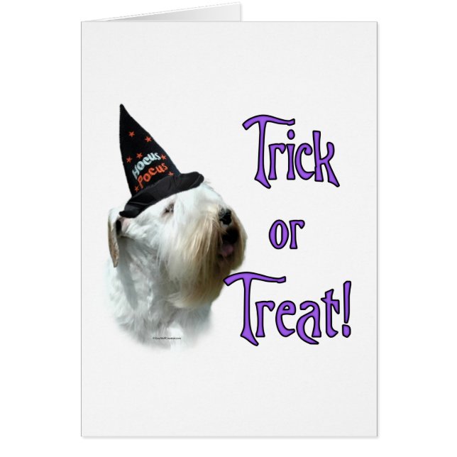 Sealyham Terrier Trick (Front)