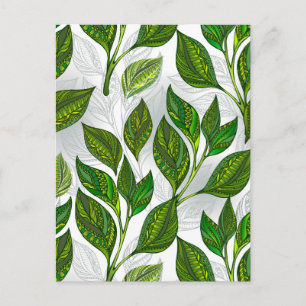 Seamless Pattern with Green Tea Leaves Holiday Postcard
