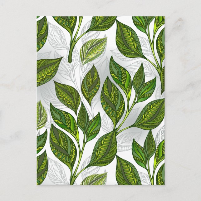Seamless Pattern with Green Tea Leaves Postcard (Front)
