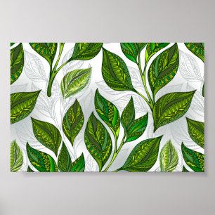 Seamless Pattern with Green Tea Leaves Poster