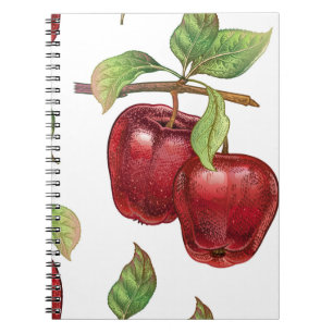 Seamless pattern with red apples. Realistic vintag Notebook
