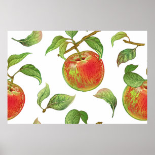 Seamless pattern with red apples. Realistic vintag Poster