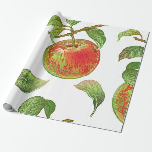Seamless pattern with red apples. Realistic vintag Wrapping Paper