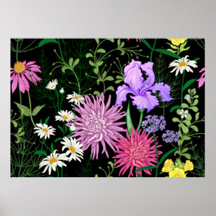 Seamless summer pattern. Wild flowers chamomile, h Poster
