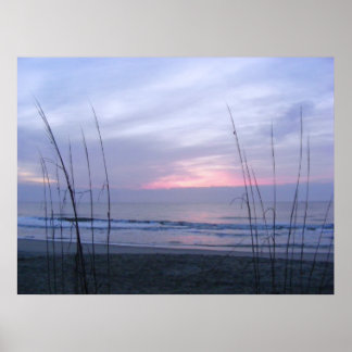 Seaoats and Sunrise Poster