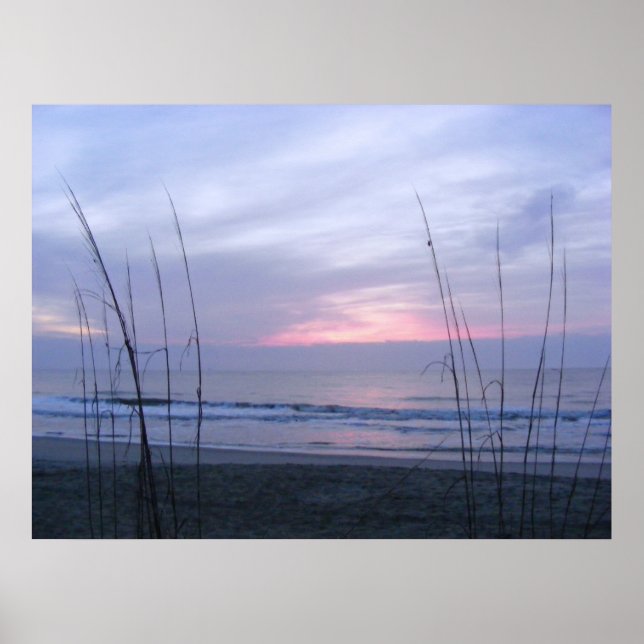 Seaoats and Sunrise Poster (Front)
