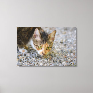 search canvas print