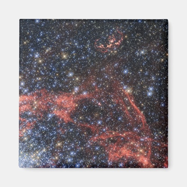 Search For Stellar Survivor Of Supernova Explosion Magnet (Front)